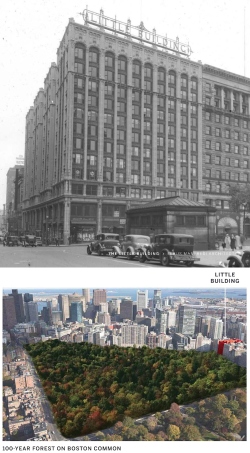 Fundraising Page Image